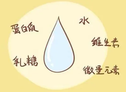 母乳成分分析仪品牌都分析什么？ 应该如何发现并及时地补充呢?